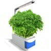 hydroponic-herb-pot